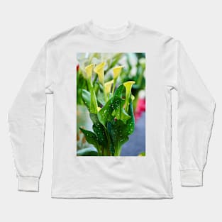 Calla flowers blooming Long Sleeve T-Shirt